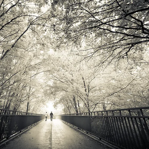A Walk 