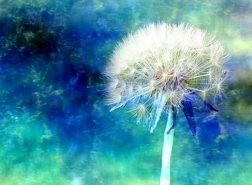 Life is a precious gift. Don't waste it being unhappy, dissatisfied, or anything else you can be