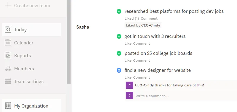 project team roles
