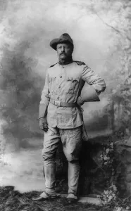 "I don't pity any man who does hard work worth doing. I admire him. I pity the creature who does not work, at whichever end of the social scale he may regard himself as being." - Teddy Roosevelt 