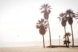 sea-beach-sand-ocean