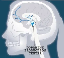 dopamine production center