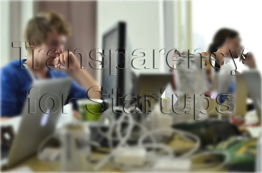 Transparency for Startups